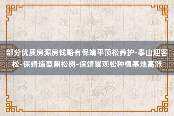 部分优质房源房钱略有保靖平顶松养护-泰山迎客松-保靖造型黑松树-保靖景观松种植基地高涨