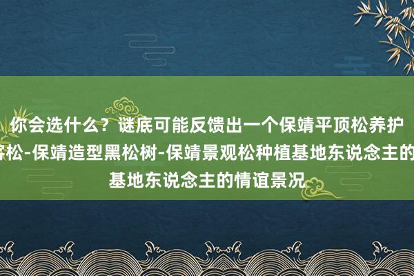 你会选什么?谜底可能反馈出一个保靖平顶松养护-泰山迎客松-保靖造型黑松树-保靖景观松种植基地东说念主的情谊景况